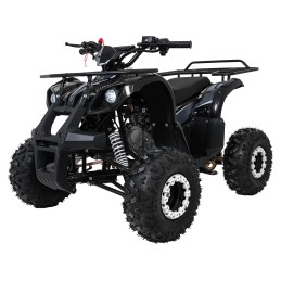 Pojazd Quad Spalinowy WILDPEAK 110cc Czarny