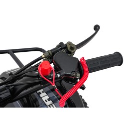 Pojazd Quad Spalinowy WILDPEAK 110cc Czarny
