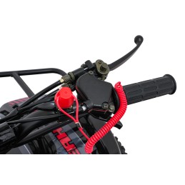 Pojazd Quad Spalinowy WILDPEAK 110cc Czerwony
