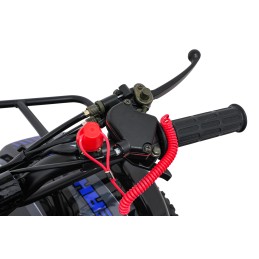 Pojazd Quad Spalinowy WILDPEAK 110cc Niebieski