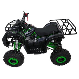Pojazd Quad Spalinowy WILDPEAK 110cc Zielony