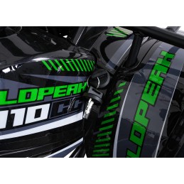 Pojazd Quad Spalinowy WILDPEAK 110cc Zielony