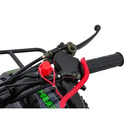 Pojazd Quad Spalinowy WILDPEAK 110cc Zielony