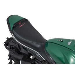 Pojazd Motor Ducati Diavel x Bentley Zielony